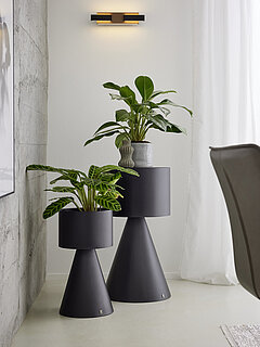 Pflanzenständer JustB! KM100 in Fb. Schwarz von Musterring