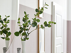 Kara-Frame-Dielen: Hänge-Schuhschrank 74009, Lack brillantgrau HG (PG 2), ca. B 122, H 91, T 21 cm. Zubehör: Korpushülle + Front in HG (91688)