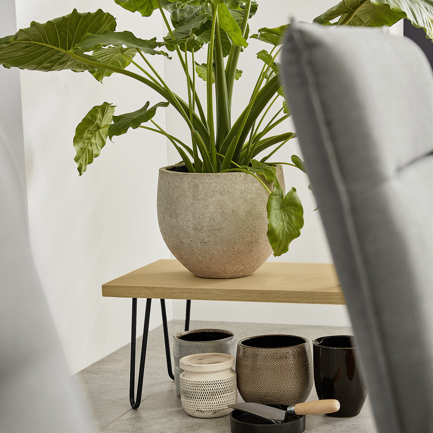 MR10594_19_Freilicht_Madrid_Mood - 15.jpg