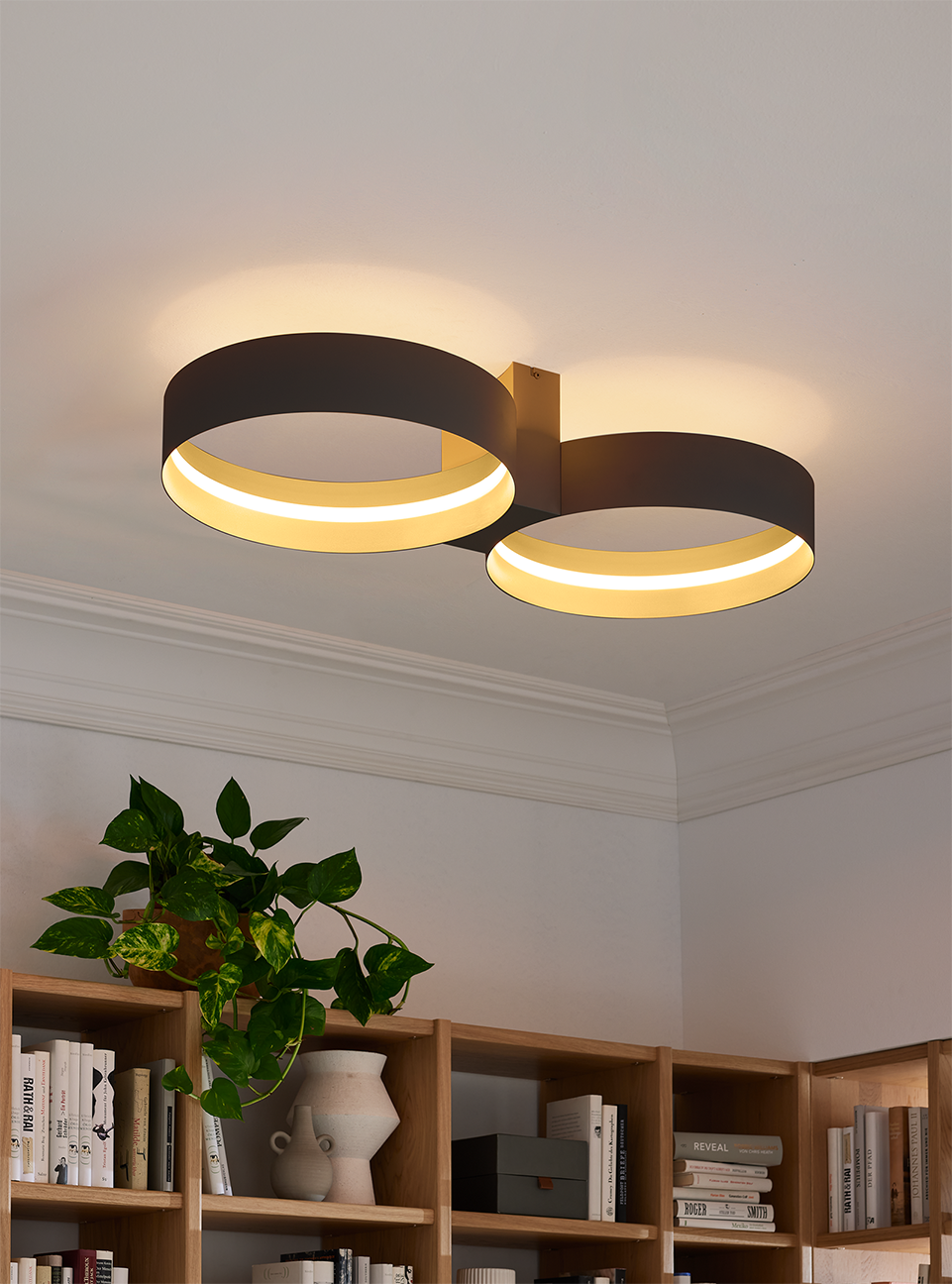 Deckenleuchte LOOP Leuchten 2.0 in Fb. Schwarz und Gold von Musterring Deckenleuchte LOOP Leuchten 2.0 in Fb. Schwarz und Gold von Musterring