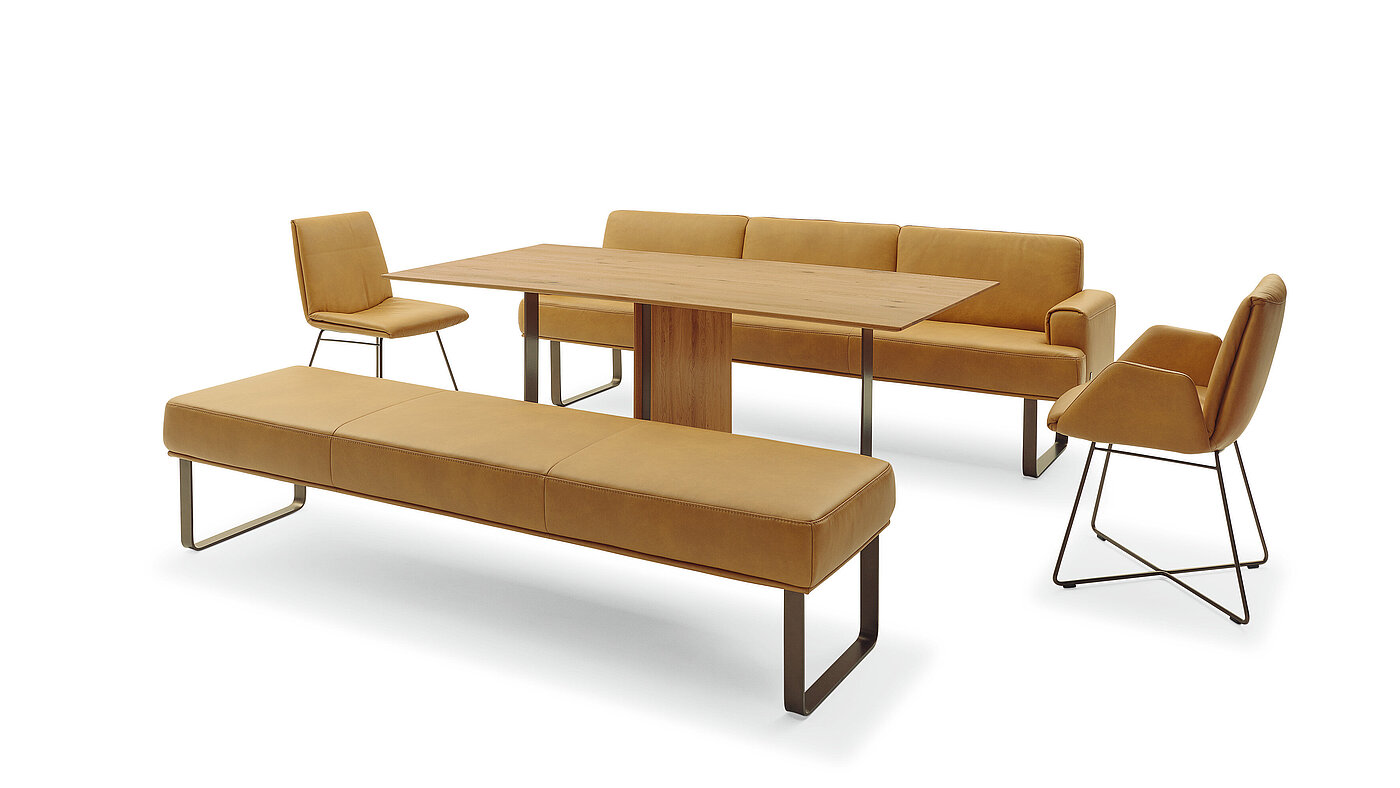 T 2050: Esstisch 7883-79-080
ca. 200x100, H 75 cm
Charakter-Eiche geölt, Gestell mit Metallbügeln in bronze